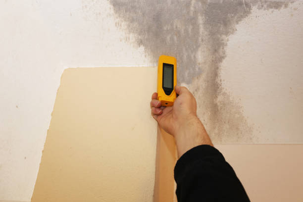 Mold Remediation for Rental Properties in Delray Beach, FL