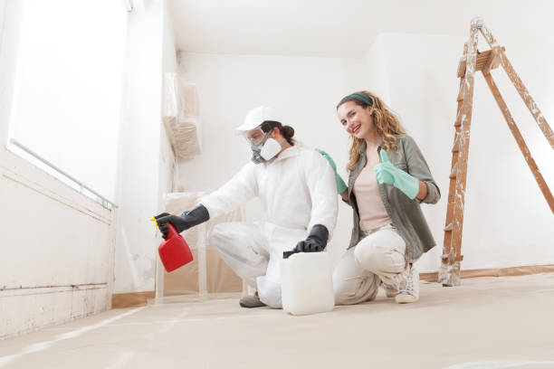 Best Water Damage & Mold Remediation  in Delray Beach, FL