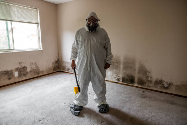 Biohazard Mold Removal in Delray Beach, FL